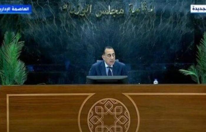 عاجل| مدبولي: إطلاق تجريبي لتأشيرة الدخول العاجلة إلكترونيًا عبر مطار القاهرة - خليج نيوز