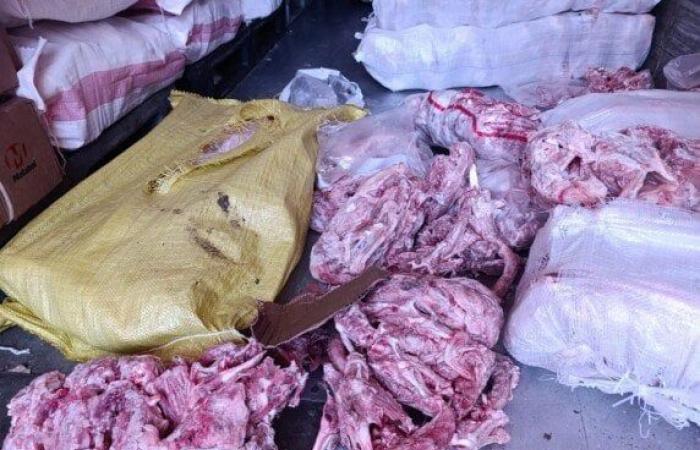 كارثة بالخانكة.. ضبط 10 أطنان هياكل دواجن مجهولة المصدر داخل مصنع لحوم - خليج نيوز