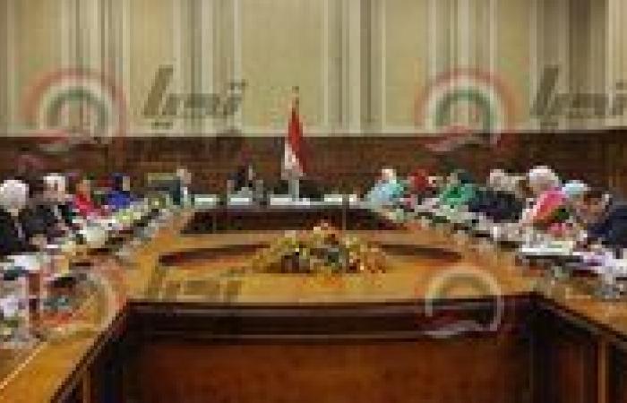 تضامن النواب توافق على موازنة المجلس القومي لذوي الإعاقة للعام المالي 2025/2026