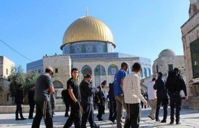 عشرات المستوطنين يقتحمون باحات المسجد الأقصى بحماية شرطة الاحتلال - خليج نيوز