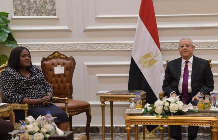 المستشار الدكتور حنفي جبالي يستقبل النائبة الأولى لرئيس الجمعية الوطنية في زامبيا