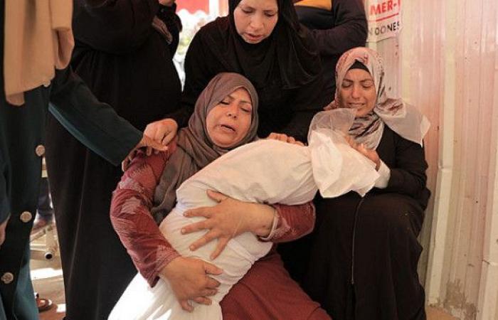 غزة: الاحتلال ألقى 100 ألف طن متفجرات وأباد ألفين و200 عائلة