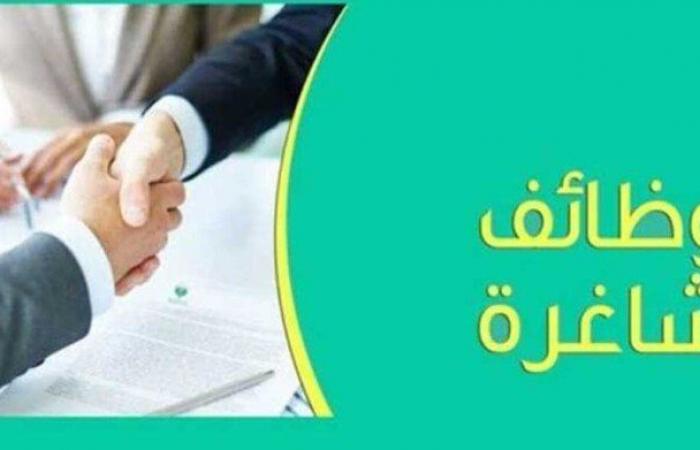 «براتب 8000».. الإعلان عن فرص ‏عمل جديدة في الإسماعيلية - خليج نيوز