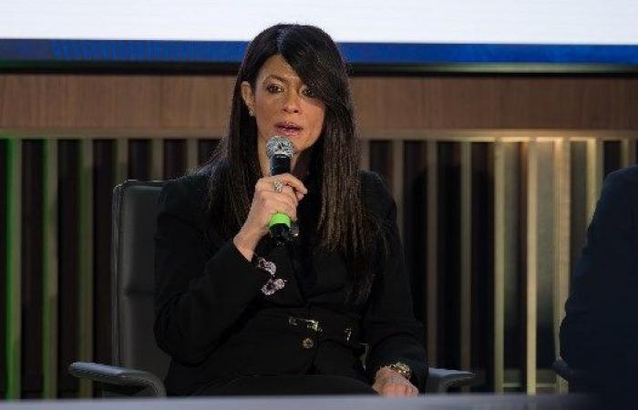 وزيرة التخطيط تشارك في جلسة نقاشية حول التحول الأخضر بالقطاع المالي في الأسواق الناشئة - خليج نيوز