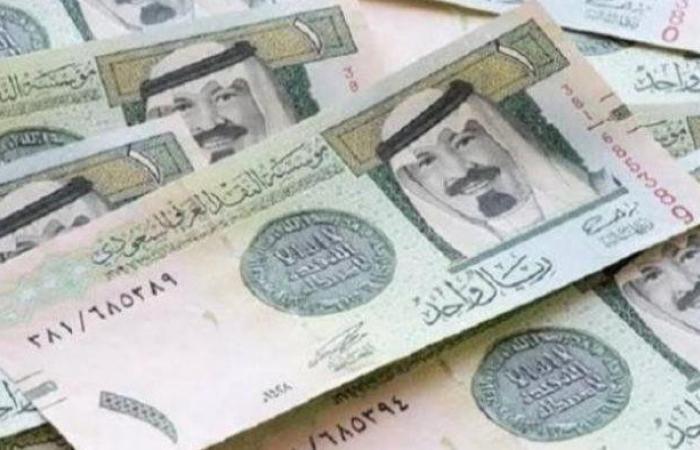 انخفاض سعر الريال السعودي مقابل الجنيه المصري اليوم الإثنين - خليج نيوز