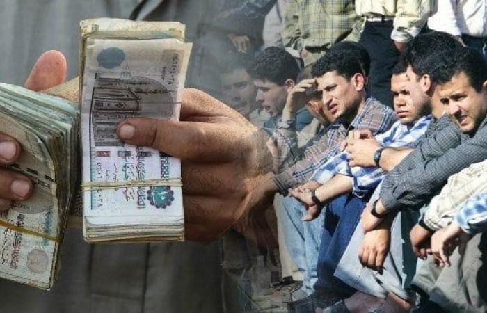 بالرقم القومي.. رابط وخطوات الاستعلام عن منحة العاملة غير المنتظمة 2025 - خليج نيوز