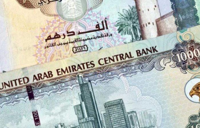 سعر الدرهم الإماراتي مقابل الجنيه المصري اليوم الخميس 22 مايو 2025 - خليج نيوز