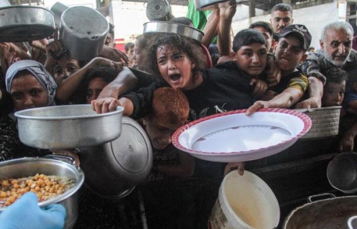 الأغذية العالمي: دخول مساعدات محدودة لا يكفي لدرء المجاعة بغزة