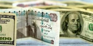 سعر الدولار في البنك المركزي اليوم السبت 14-12-2024 - خليج نيوز