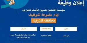 "التضامن للتمويل الأصغر" بالشرقية تُعلن عن أيام مفتوحة للتوظيف - خليج نيوز