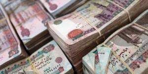 سعر الدولار اليوم مقابل الجنيه المصري الثلاثاء 17-12-2024 - خليج نيوز