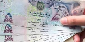 سعر الدرهم الإماراتي مقابل الجنيه المصري اليوم الإثنين 23 ديسمبر 2024 - خليج نيوز