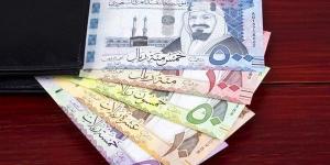 سعر الريال السعودى اليوم الإثنين 23 ديسمبر 2024 في مصر مقابل الجنيه المصري خليج نيوز