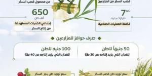 8 معلومات تكشف استعدادات الحكومة لموسم قصب السكر 2025 - خليج نيوز