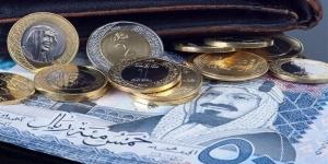 سعر الريال السعودي اليوم السبت 28 ديسمبر 2024 في مصر مقابل الجنيه المصري خليج نيوز