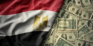 11.889 مليار دولار زيادة في احتياطيات النقد الأجنبي لدي مصر آخر 12 شهر - خليج نيوز