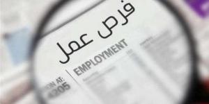 عاجل.. آخر موعد للتقديم على وظائف التضامن الاجتماعى.. الشروط والمستندات المطلوبة خليج نيوز