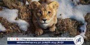 تعرف على إيرادات فيلم Mufasa