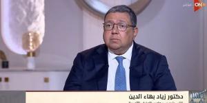 نجحنا فى تجنب الهاوية فى 2024 ولكن هل نخرج من الأزمة فى 2025؟.. زياد بهاء الدين يوضح خليج نيوز