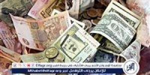 سعر الدرهم الإماراتي في البنك المركزي المصري اليوم الجمعة 17-1-2025