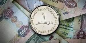 سعر الدرهم الإماراتى في مصر اليوم الأحد 19 يناير 2025 - خليج نيوز