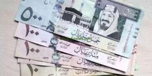 سعر الريال السعودي مقابل الجنيه المصري اليوم الأحد 19-1-2025 - خليج نيوز