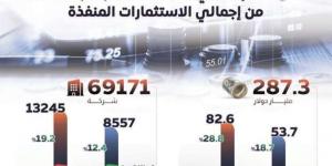 «معلومات الوزراء»: الاستثمار الأجنبي مصدر مهم للتمويل الخارجي - خليج نيوز