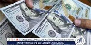 استقرار سعر الدولار مقابل الجنيه المصري اليوم الأربعاء 22 يناير 2025