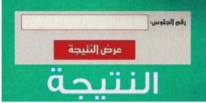 ظهرت الآن.. رابط نتائج صفوف النقل بالمرحلة الابتدائية بالجيزة احصل عليها - خليج نيوز