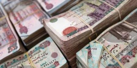 سعر الدولار اليوم مقابل الجنيه المصري الثلاثاء 17-12-2024 - خليج نيوز