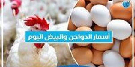 أسعار الدواجن اليوم الجمعة 20-12-2024 في الدقهلية