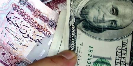 سعر الدولار مقابل الجنيه اليوم الأربعاء 1-1-2025 - خليج نيوز