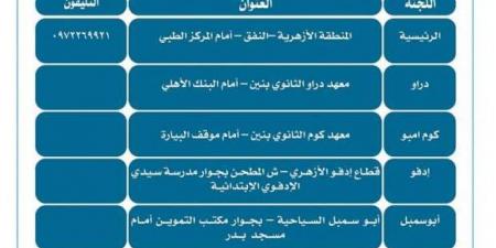 6 لجان لإصدار الفتاوى الشرعية في أسوان.. اعرف الأماكن ومواعيد العمل - خليج نيوز