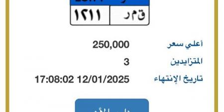 لوحة سيارة بأحرف "قمر" يصل سعرها لـ 250 ألف جنيه - خليج نيوز