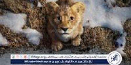 تعرف على إيرادات فيلم Mufasa