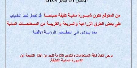 تحذير عاجل من «الأرصاد»: شبورة كثيفة وضباب خلال الـ48 ساعة المقبلة - خليج نيوز