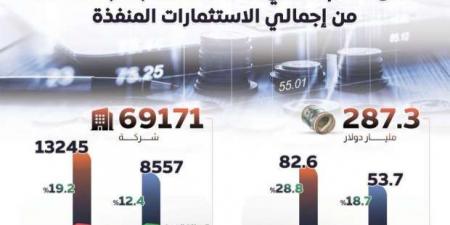 «معلومات الوزراء»: الاستثمار الأجنبي مصدر مهم للتمويل الخارجي - خليج نيوز