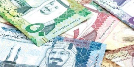 سعر صرف الريال السعودي اليوم الأربعاء أمام الجنيه - خليج نيوز