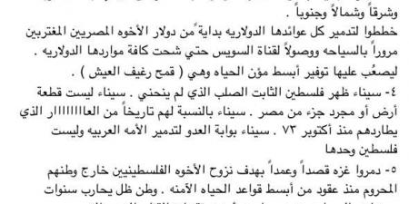 المهن الموسيقية تؤيد السيسى في دعم فلسطين وتعلق: لا للتهجير - خليج نيوز