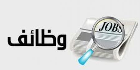 الأوراق المطلوبة للتقديم لوظائف معلم مساعد اللغة الإنجليزية ورابط التقديم - خليج نيوز