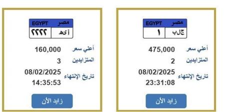 «ج.ل.ب ـ 1».. المرور تطرح لوحة سيارة بنصف مليون جنيه - خليج نيوز