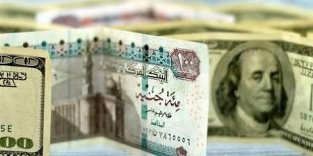 سعر الدولار مقابل الجنيه المصرى اليوم السبت 8 فبراير 2025 خليج نيوز