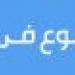 قضايا قيمتها 8 ملايين جنيه.. «الداخلية» تشن حملات ضد تجار العملة - خليج نيوز