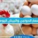 أسعار الدواجن اليوم الجمعة 20-12-2024 في الدقهلية