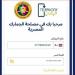 لتسجيل الهواتف الواردة من خارج مصر.. خطوات تحميل تطبيق تليفوني لـ «الأندرويد» و«الآيفون» - خليج نيوز