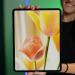 LG تستعد لتصنيع شاشات OLED لأجهزة iPad .. تفاصيل - خليج نيوز