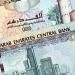 سعر الدرهم الإماراتي مقابل الجنيه المصري اليوم السبت 11 يناير 2025 - خليج نيوز