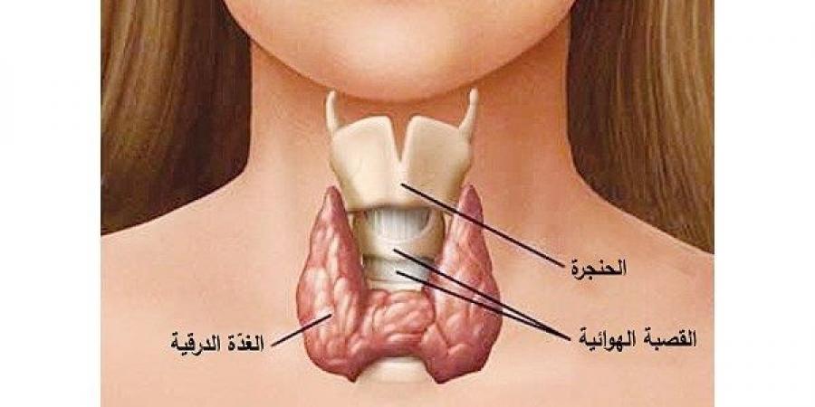 طعام غير متوقع يعالج الغدة الدرقية ويقوي المناعة - خليج نيوز