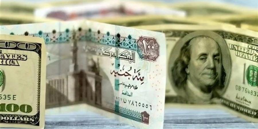 سعر الدولار في البنك المركزي اليوم السبت 14-12-2024 - خليج نيوز