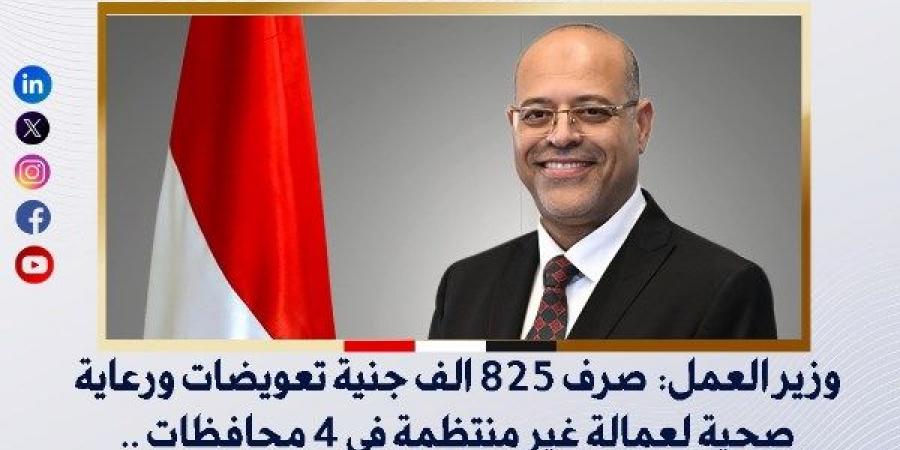 صرف 825 ألف جنية تعويضات ورعاية صحية لعمالة غير منتظمة في 4 محافظات - خليج نيوز